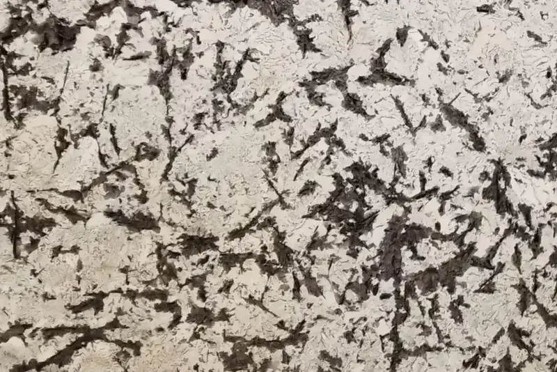 Delicatus Cream granite with bold black gray and cream movement
